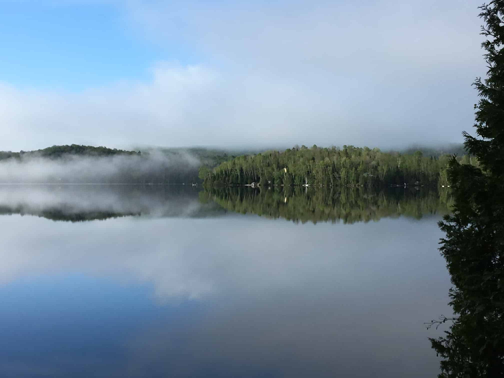 Protégeons la nature 