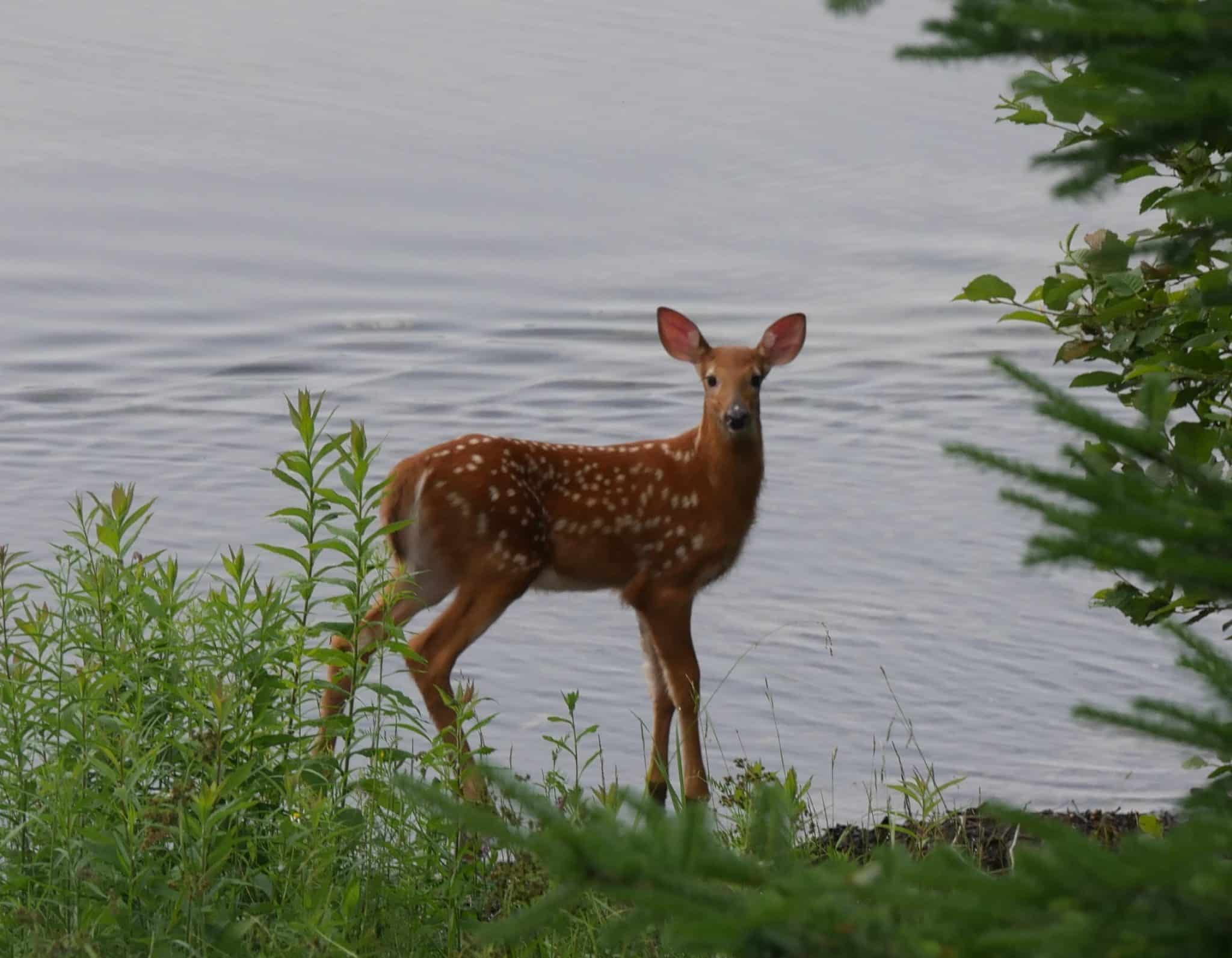 Envoyez-nous vos belles photos